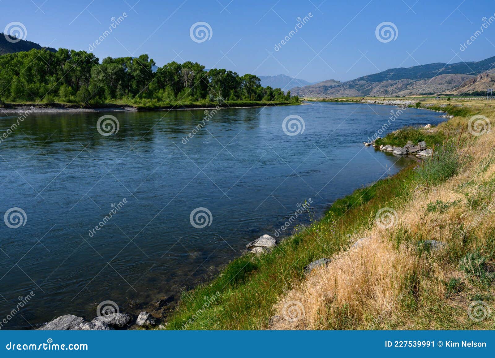 peaceful day on the gallatin river in montana, nature landscape as a background