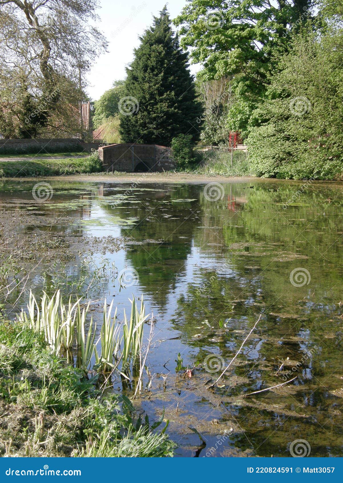 a peaceful duck pond by a bridge