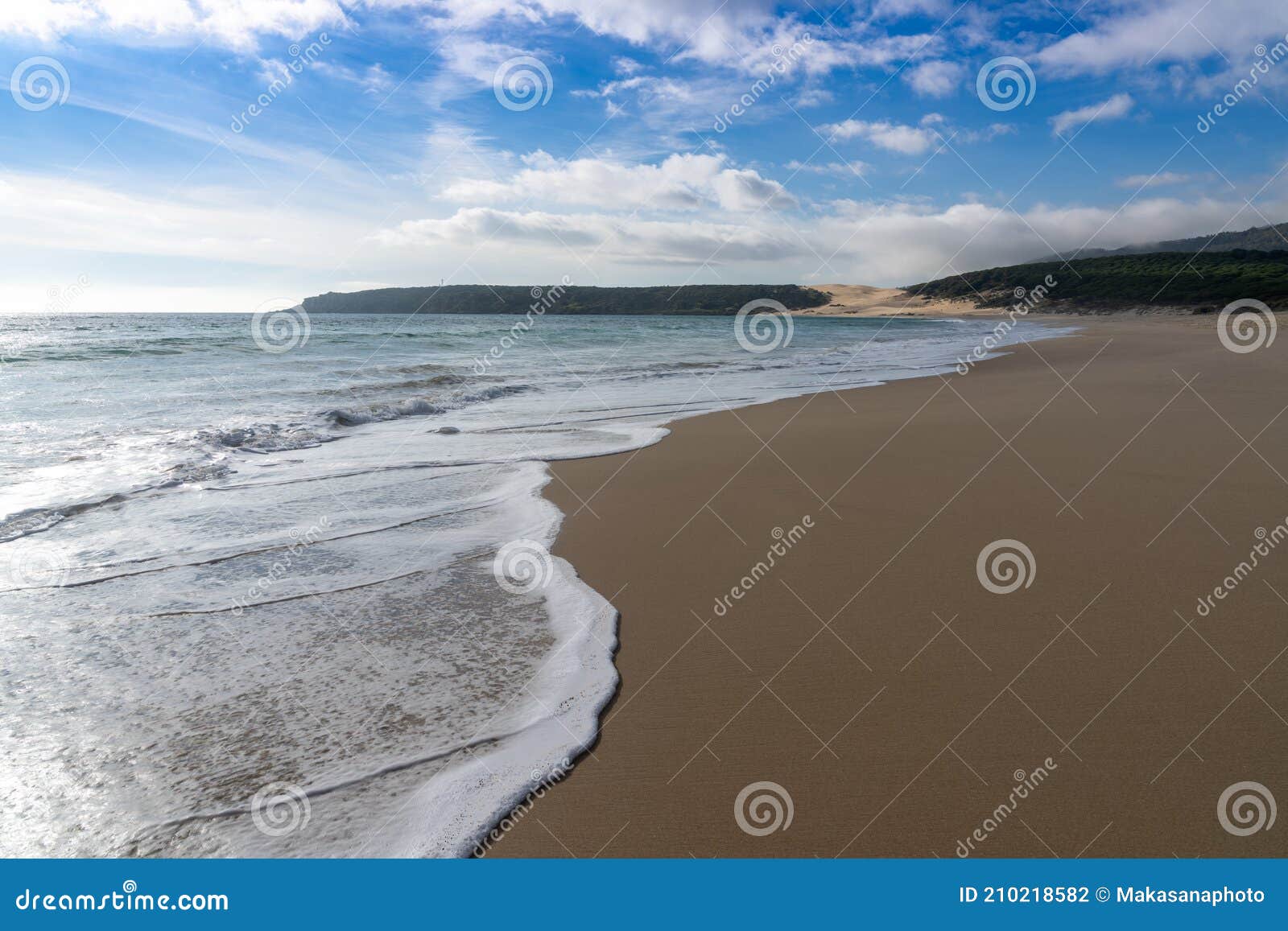 peaceful empty golden sand beach with waves rolling in and pine forest and a large sand dune in the background