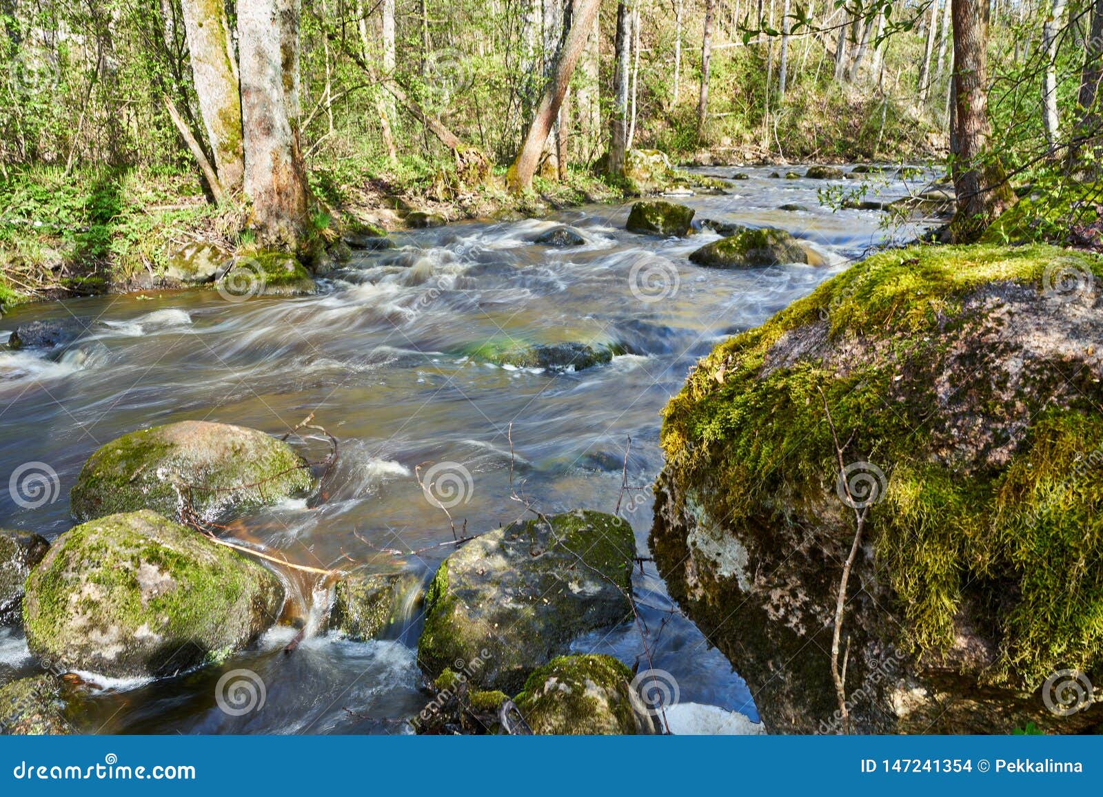 Peaceful Moody River Scene On Forest In Spring Time Stock Photo Image Of Rocks Flowing