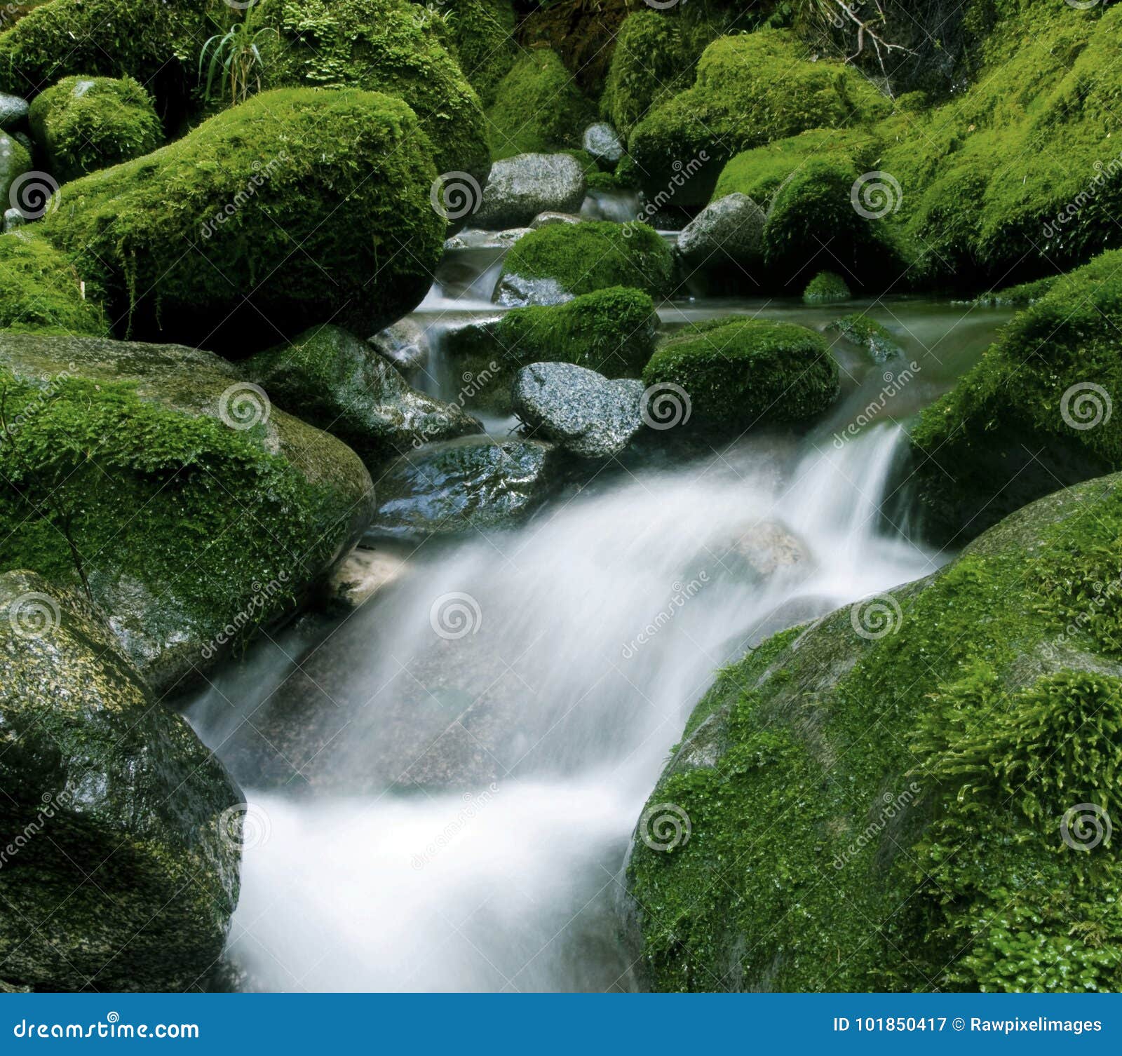 Peaceful Nature Stream New Zealand Stock Image Image Of Cascading