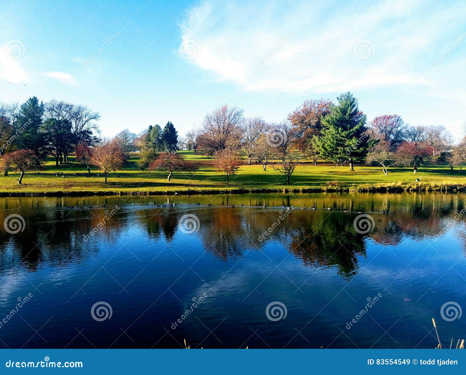 Peaceful pond stock image. Image of pond, peaceful, autumn 83554549