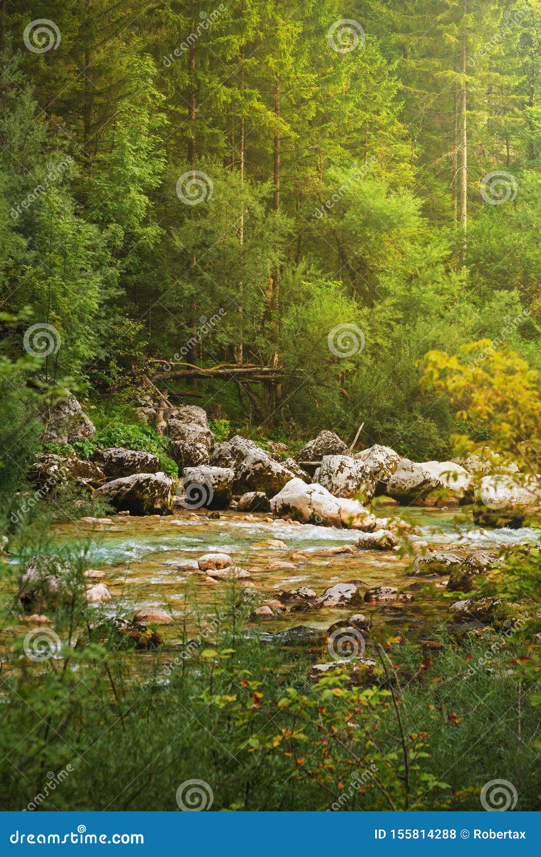 Peaceful Scene Of Naturally Fresh Emerald Color River In Green Forest Stock Photo Image Of Park Fresh