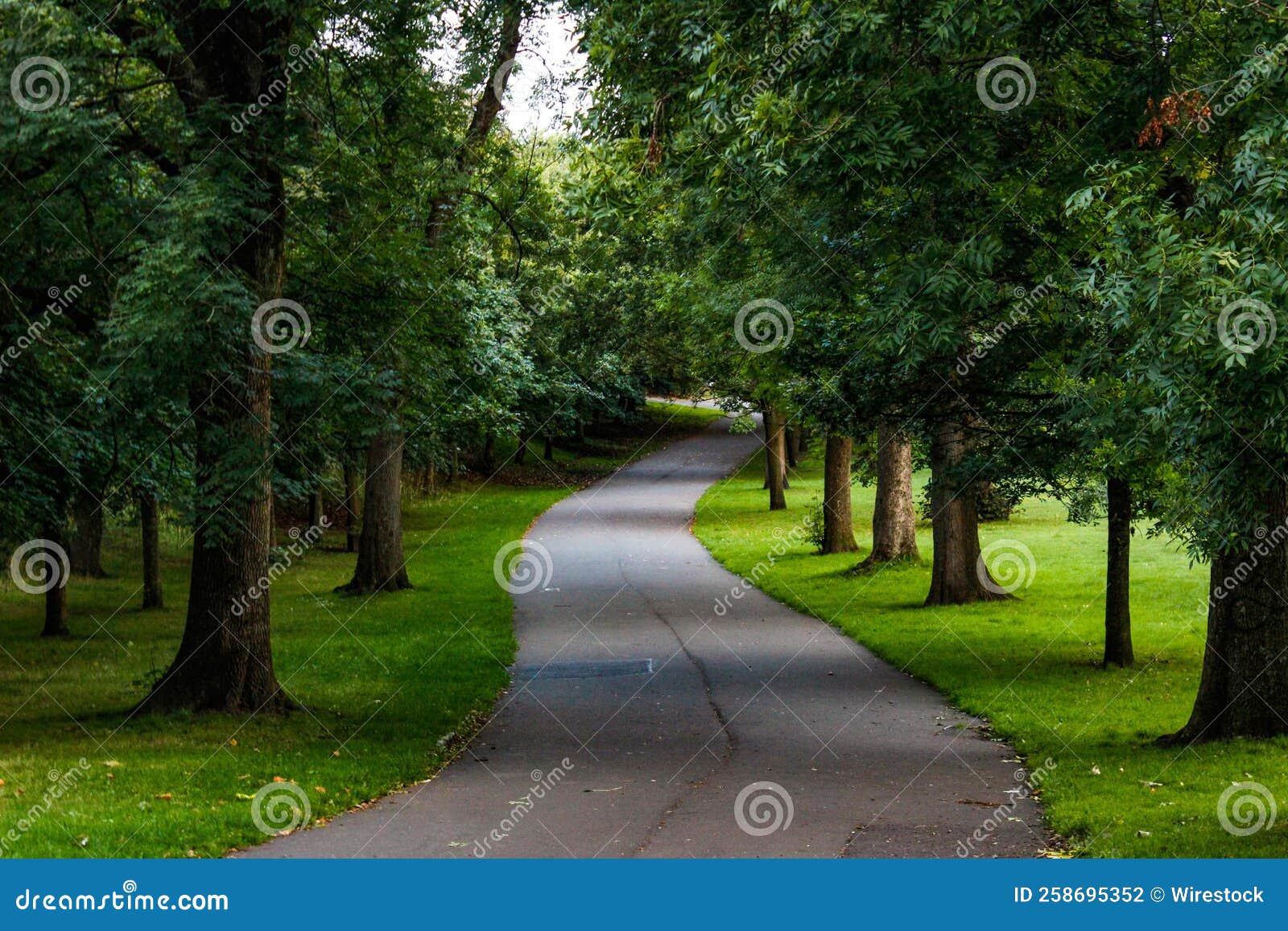 Peaceful Scene with a Path through Green Deciduous Park Stock Photo
