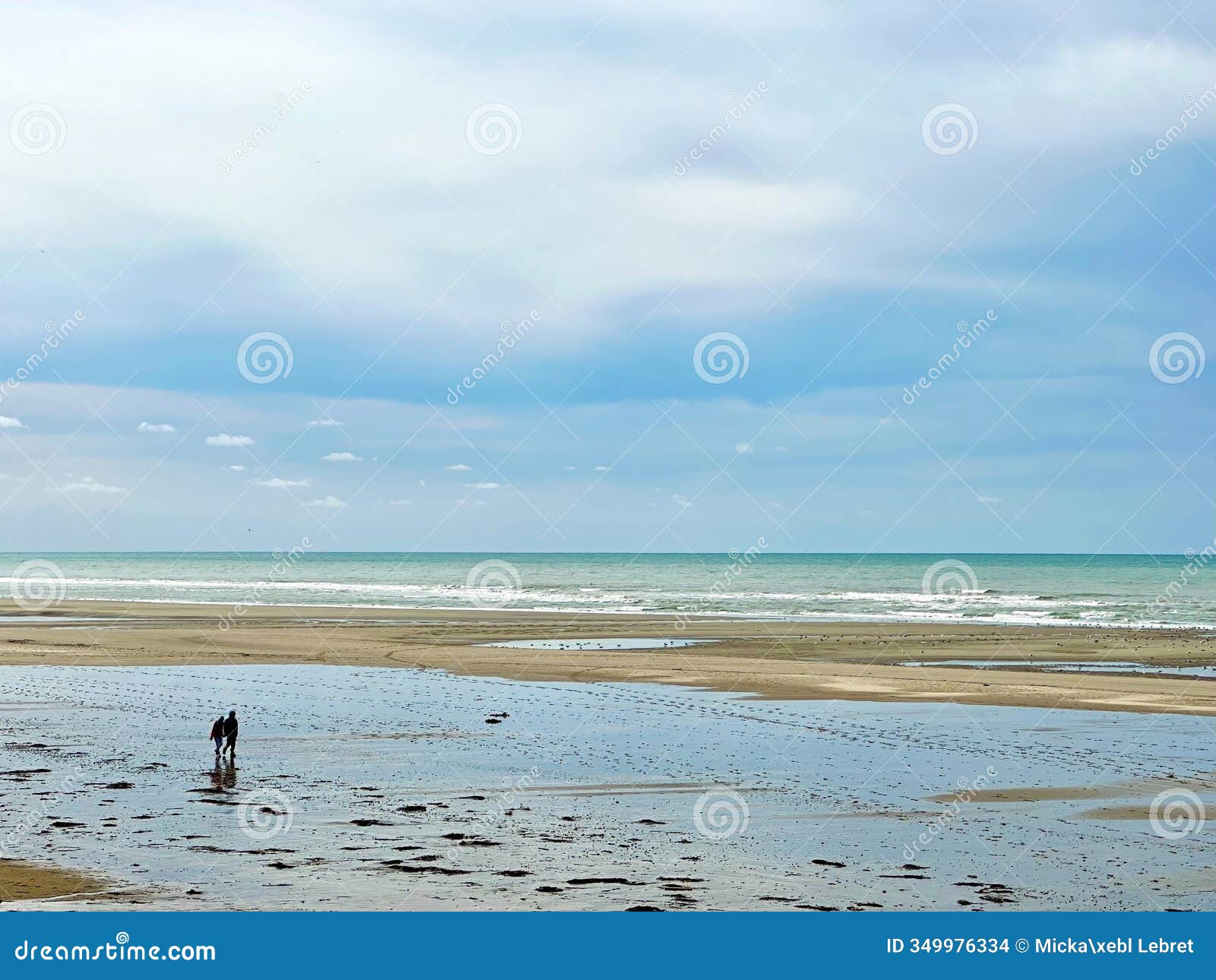 peaceful stroll on the beach of dannes in autumn, featuring a wide sandy shore, reflective tidal pools, and a vast ocean under a