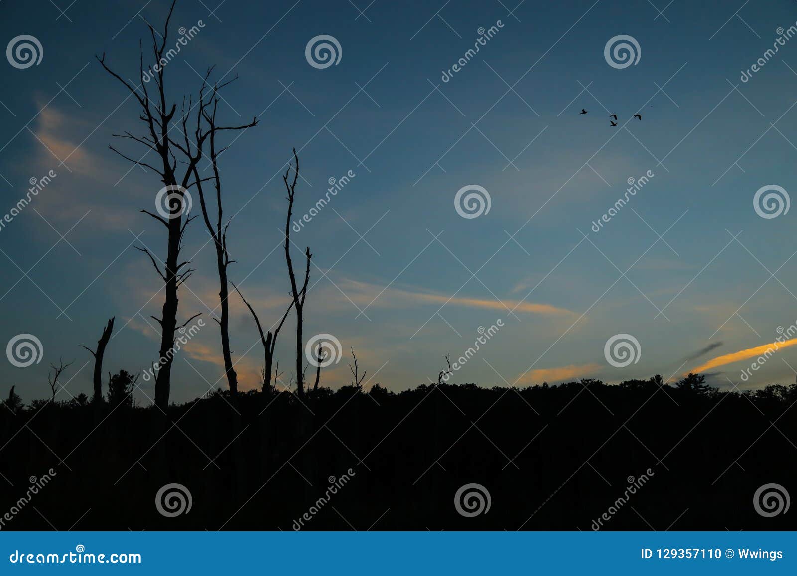 a peaceful summer evening