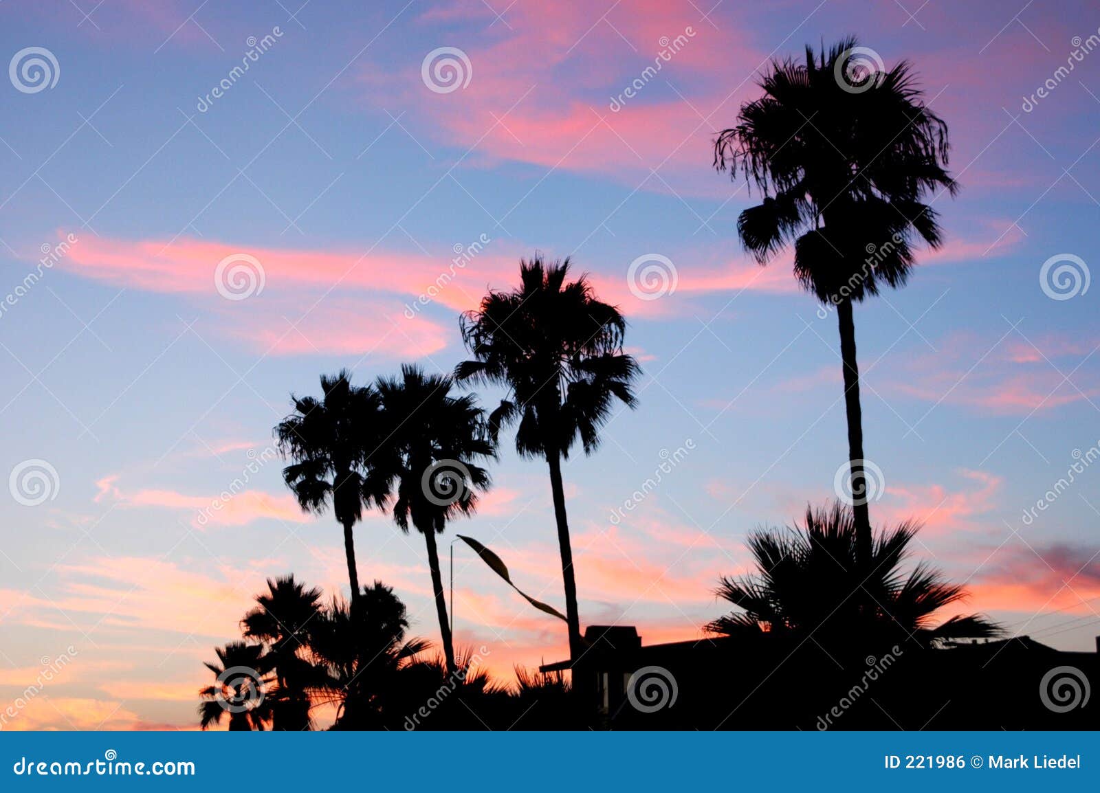 peaceful sunset