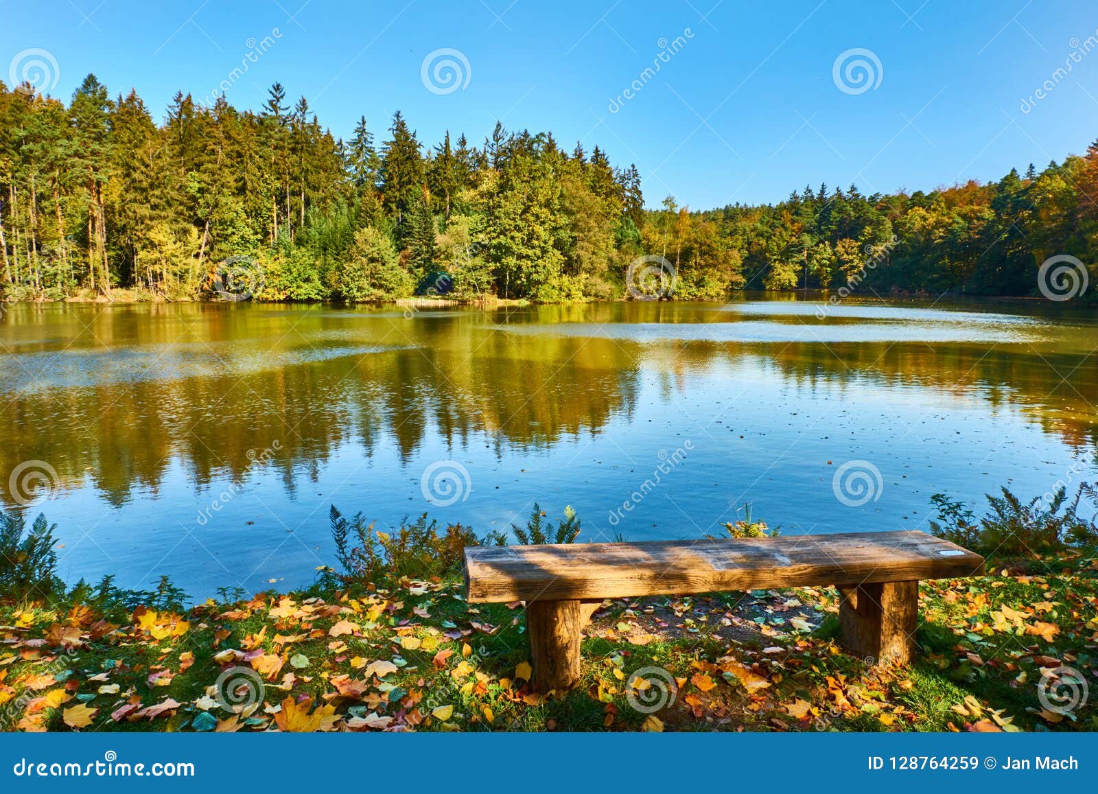 Peaceful View on Pond in Forest Stock Image Image of autumn, colorful