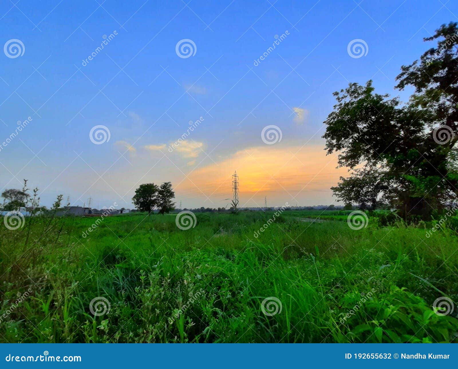 greenery village sunset view
