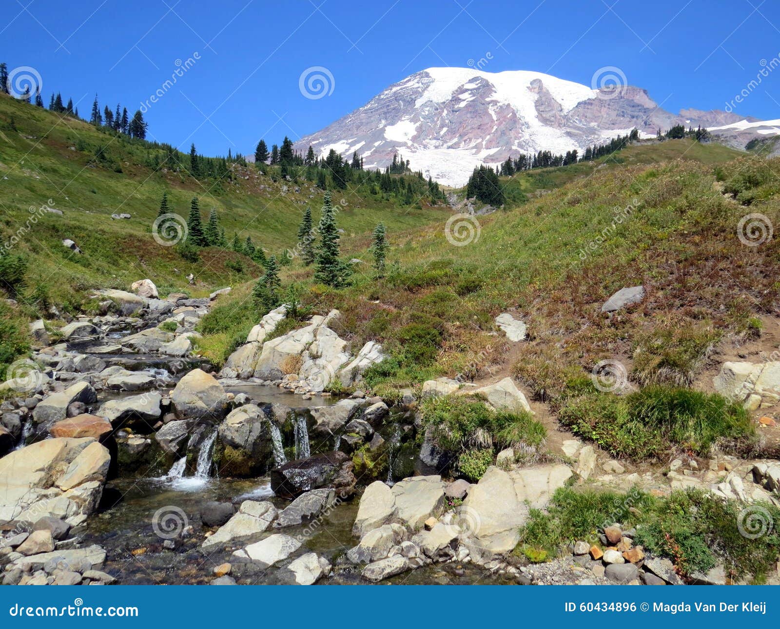 peacefull waterfall at skyline trail in mount rainier national park