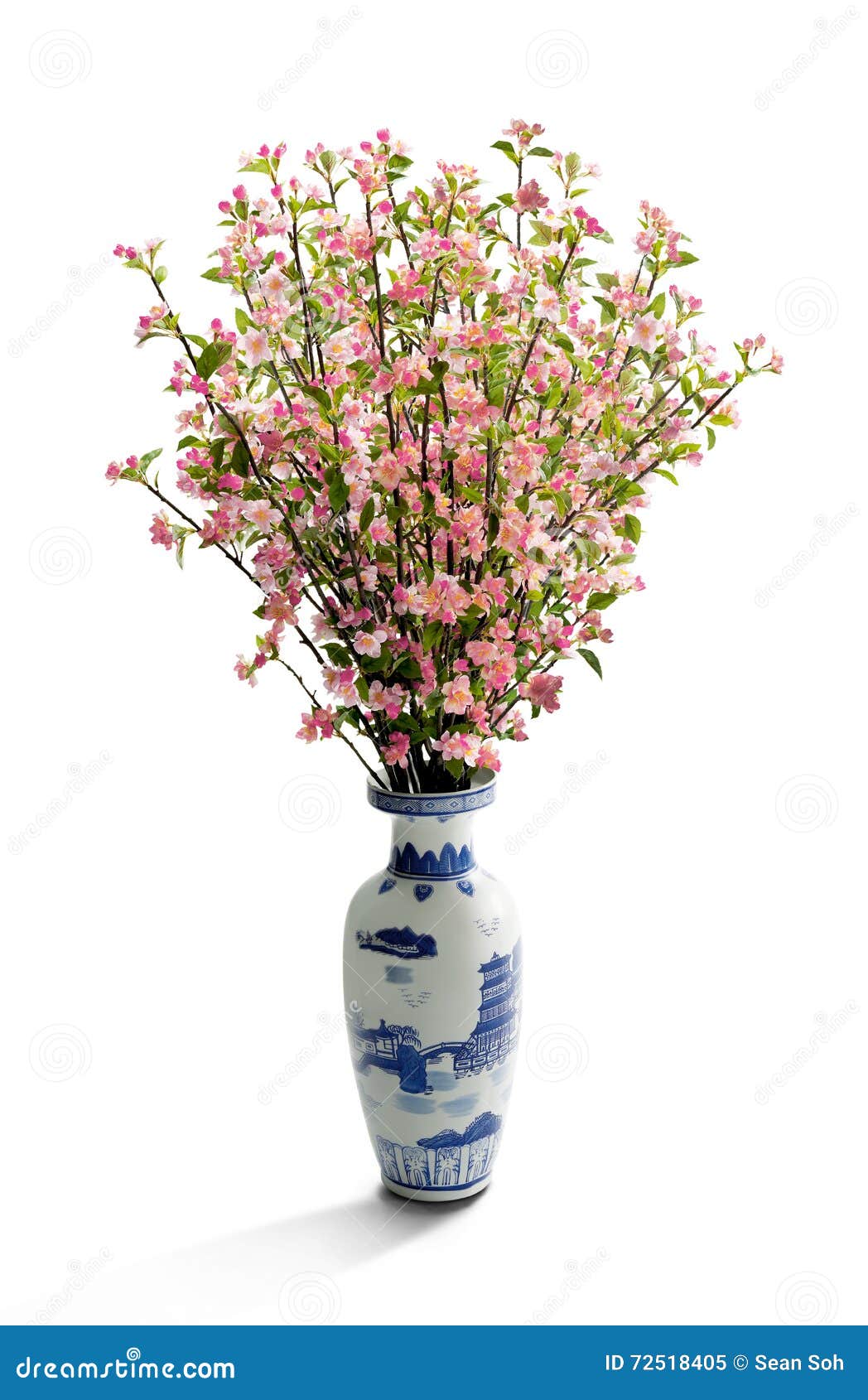 Peach Blossom in Vase stock image. Image of branch, glass 72518405