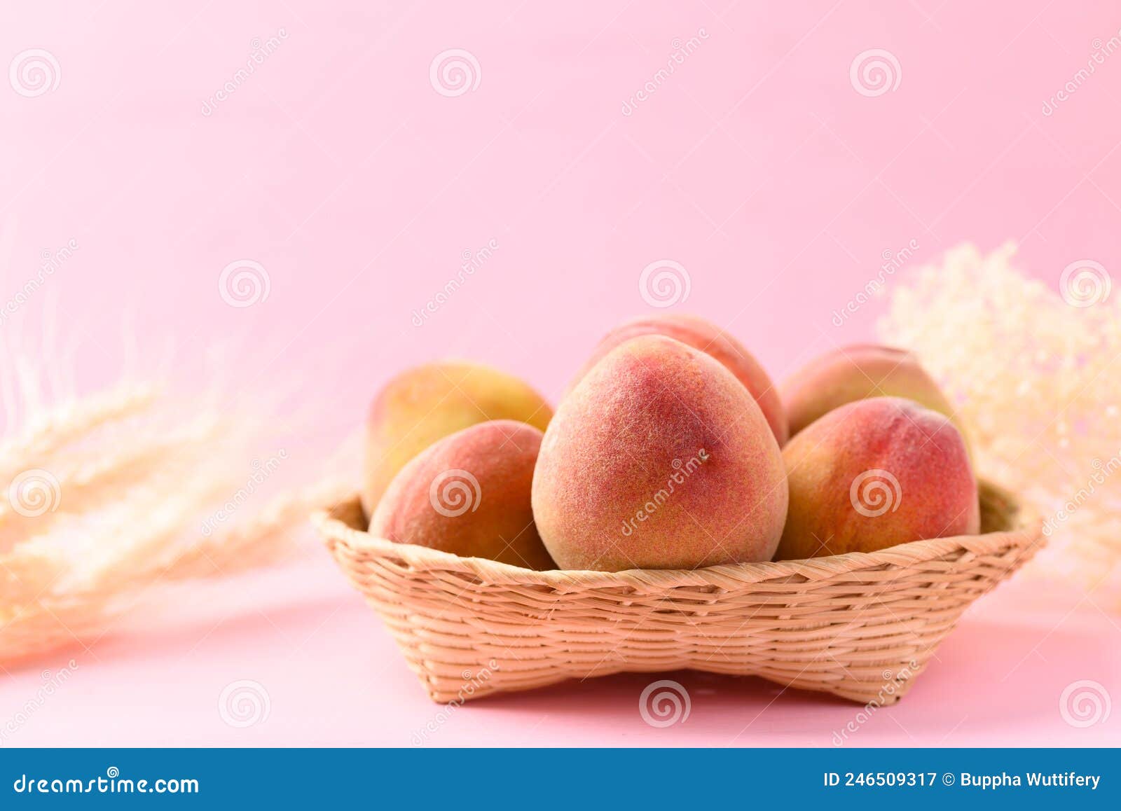 Peach Fruit in Basket on Pink Background Stock Image Image of