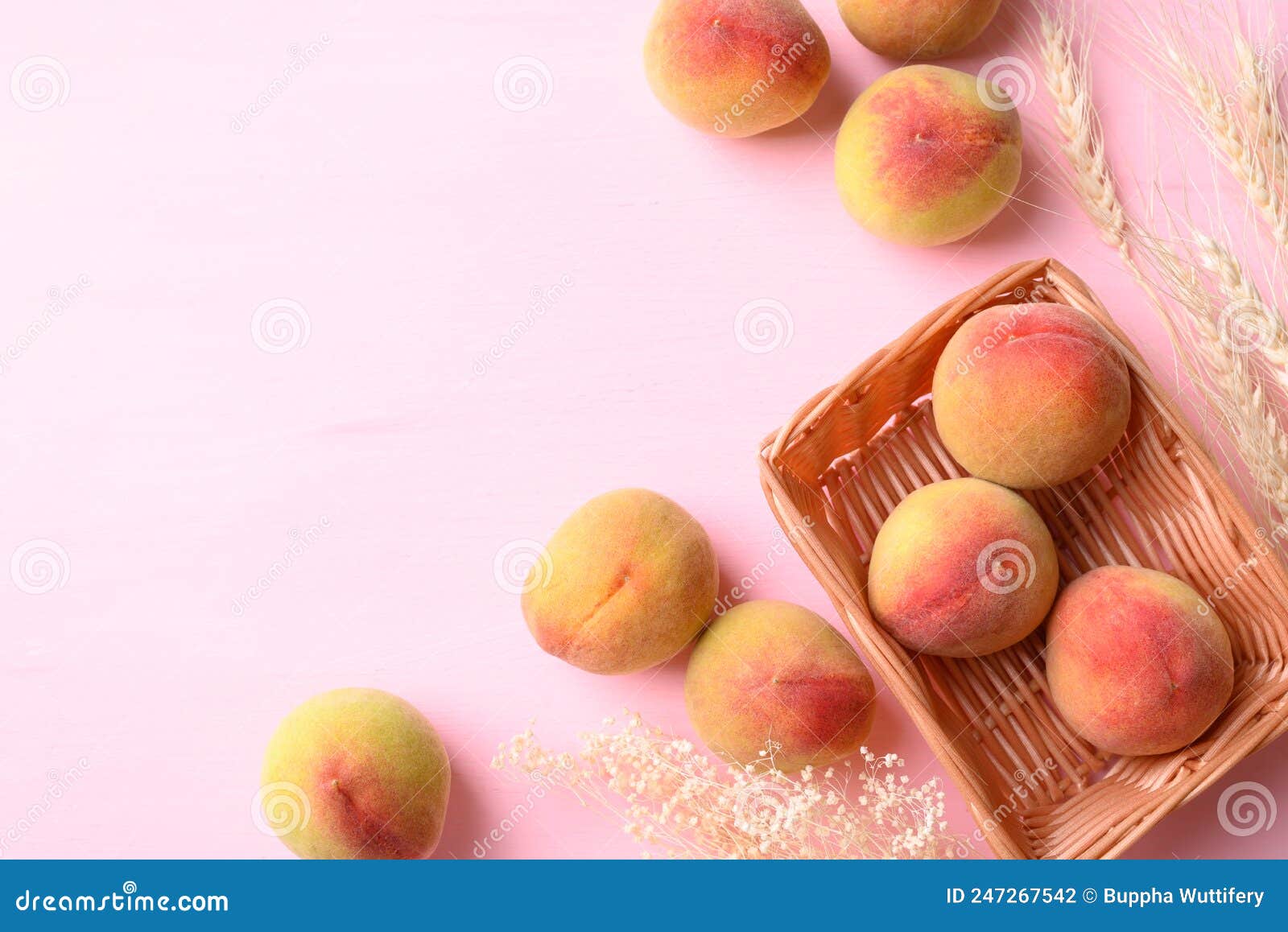 Asian Peach Fruit in Basket on Pink Background Stock Photo Image of