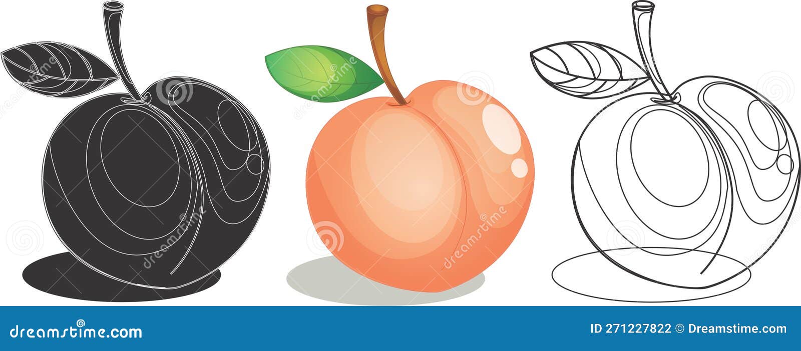 Peach Fruit Design Illustration Vector Stock Vector Illustration of