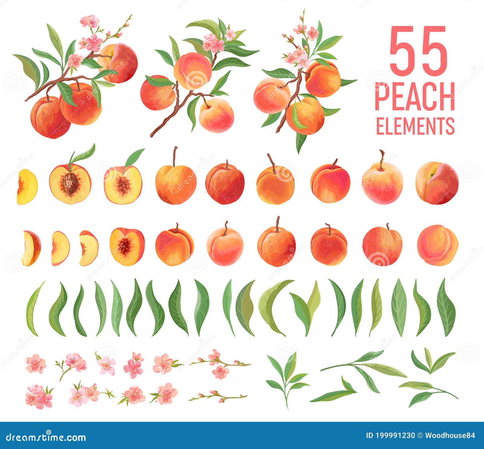 peach fruit watercolor  set.  peaches collection of fruits, leaves, slices on white