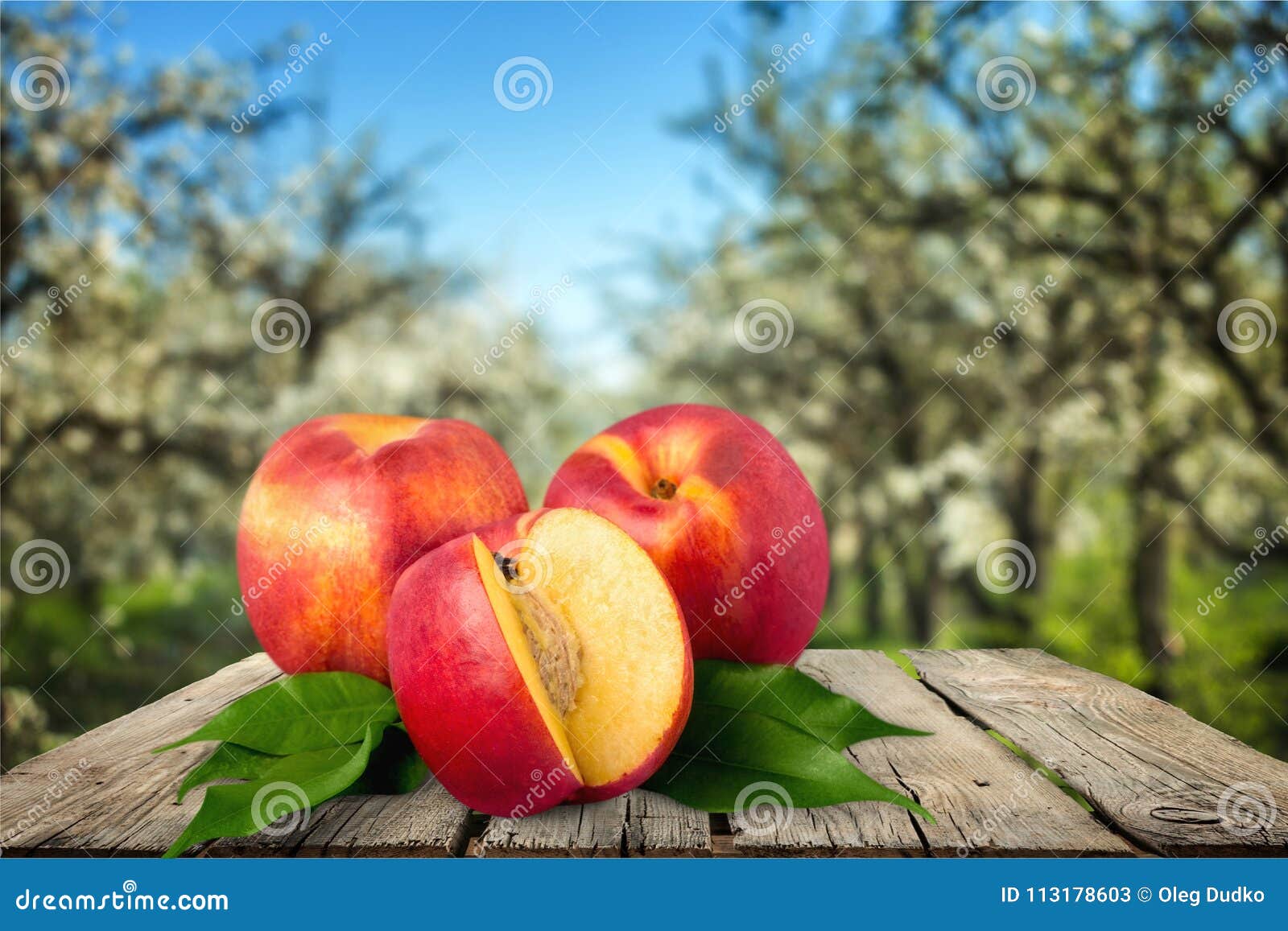 Peach stock image. Image of orange, yellow, fruit, peach 113178603