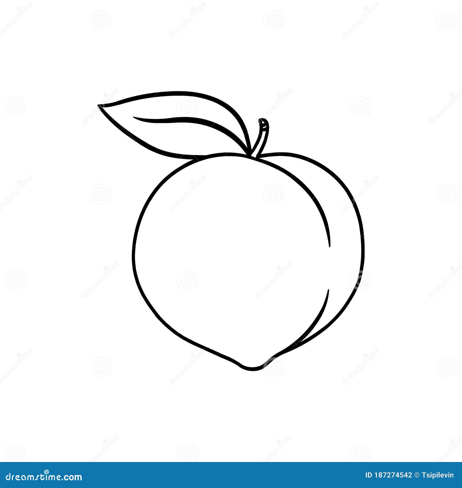 whole peach outline  on white background