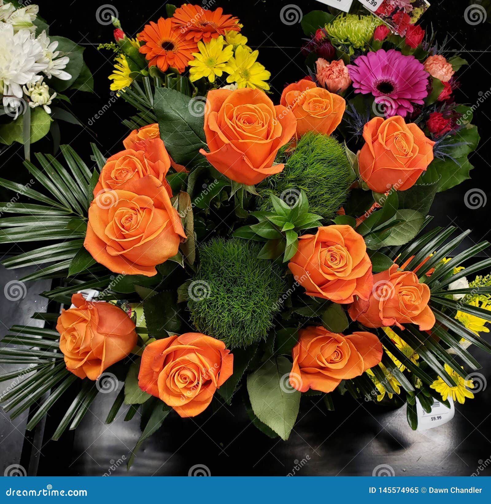 Peach Roses vase stock image. Image of roses, peach - 145574965