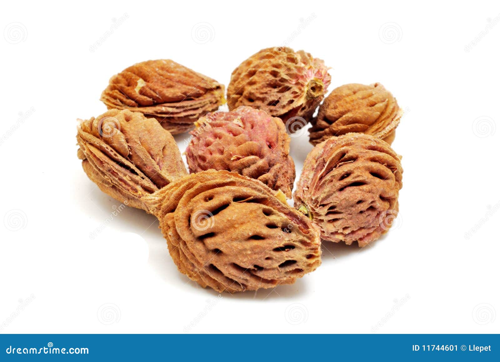 Peach Seeds Stock Image Image 11744601
