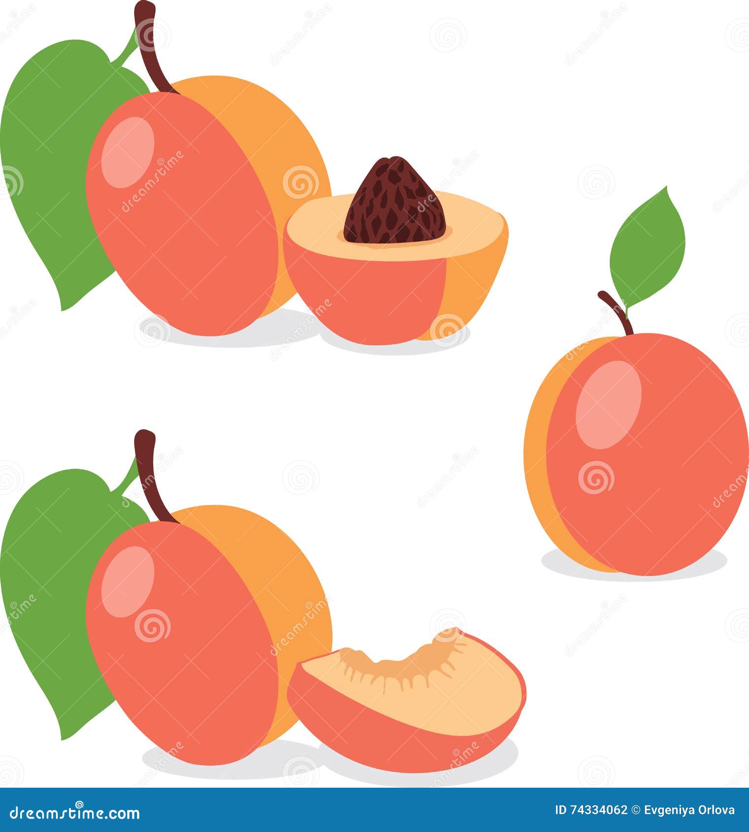 Peach. Set Peaches, Pieces and Slices Stock Vector Illustration of