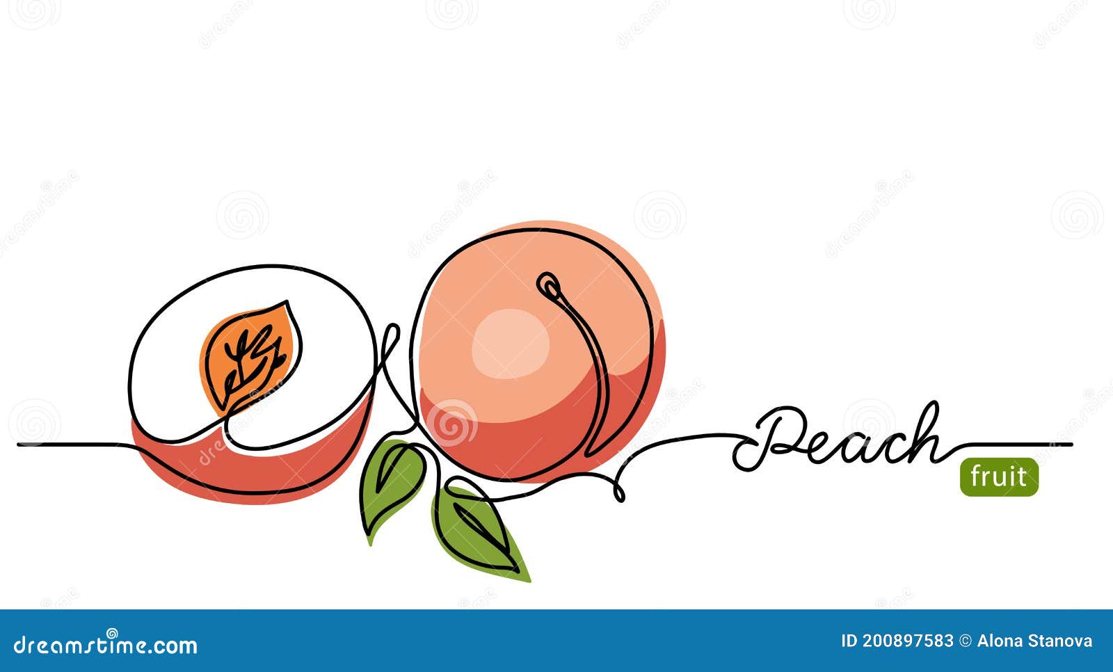 Peach Simple Vector Illustration. One Continuous Line Drawing Art
