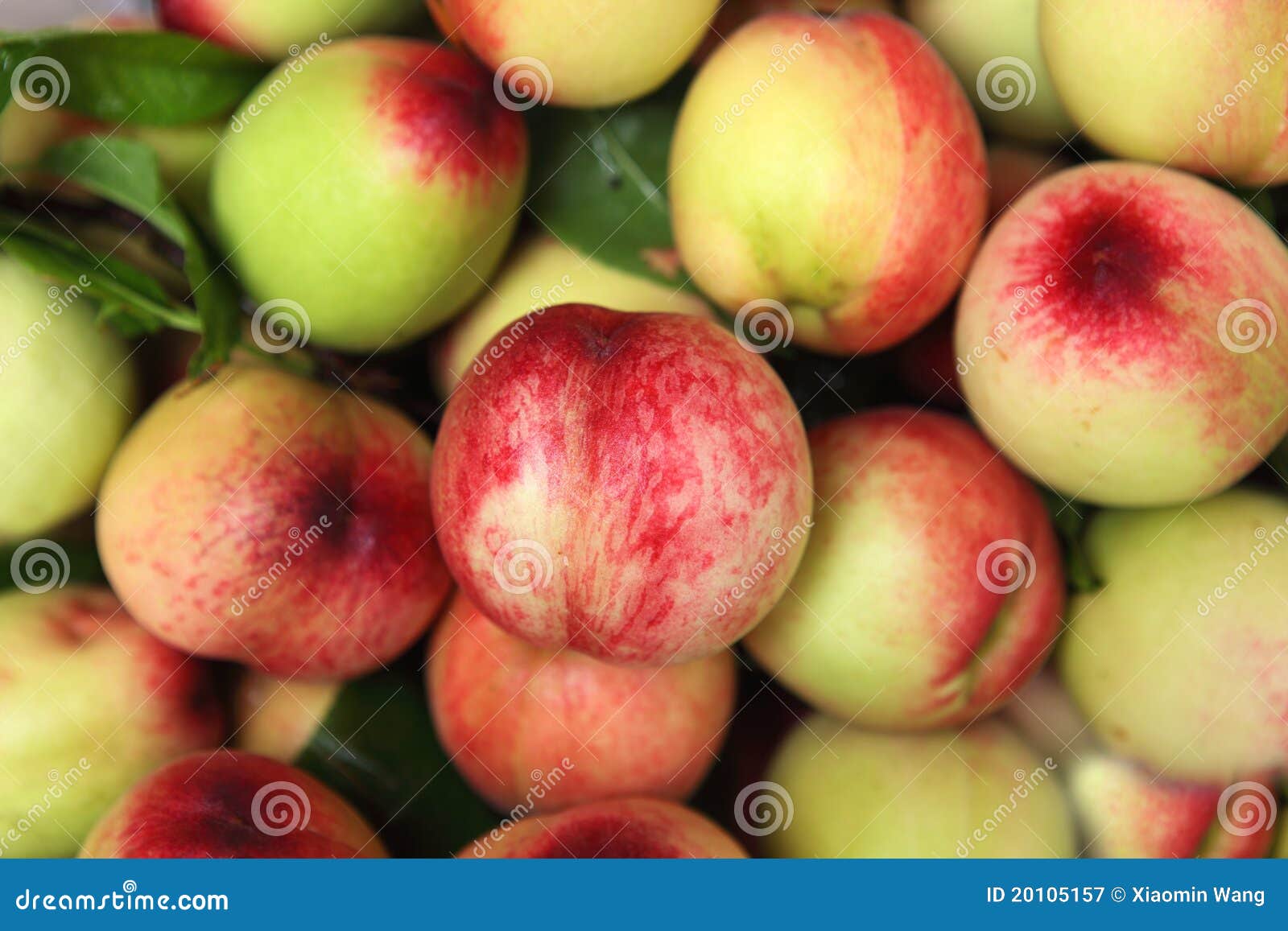 Peaches stock image. Image of calories, lush, outside 20105157