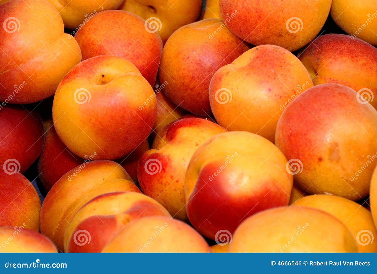 Peaches stock photo. Image of peach, lifestyle, ingredient 4666546