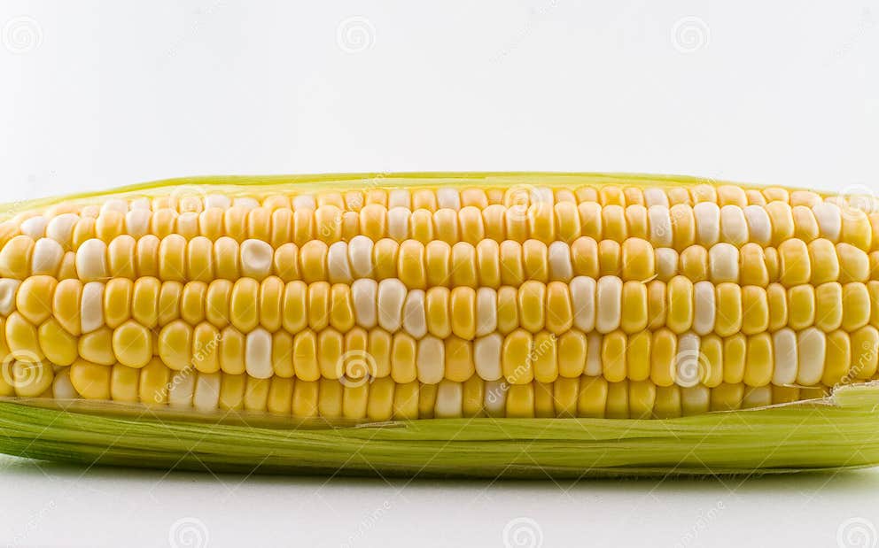 Peaches and Cream Corn stock image. Image of fuel, kernel 5627665