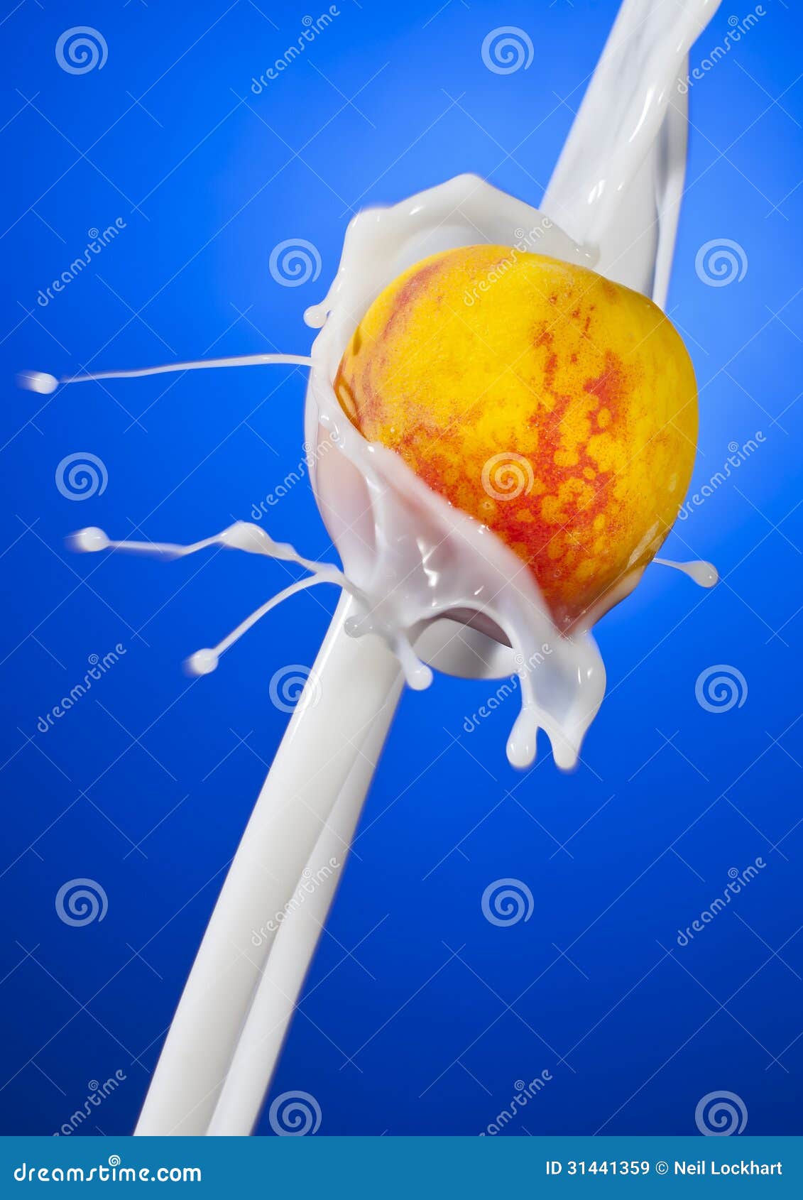 Peaches and Cream stock image. Image of droplets, studio 31441359
