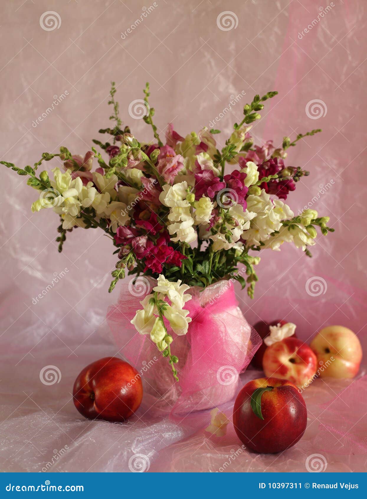 Peaches and flowers stock image. Image of peach, 10397311