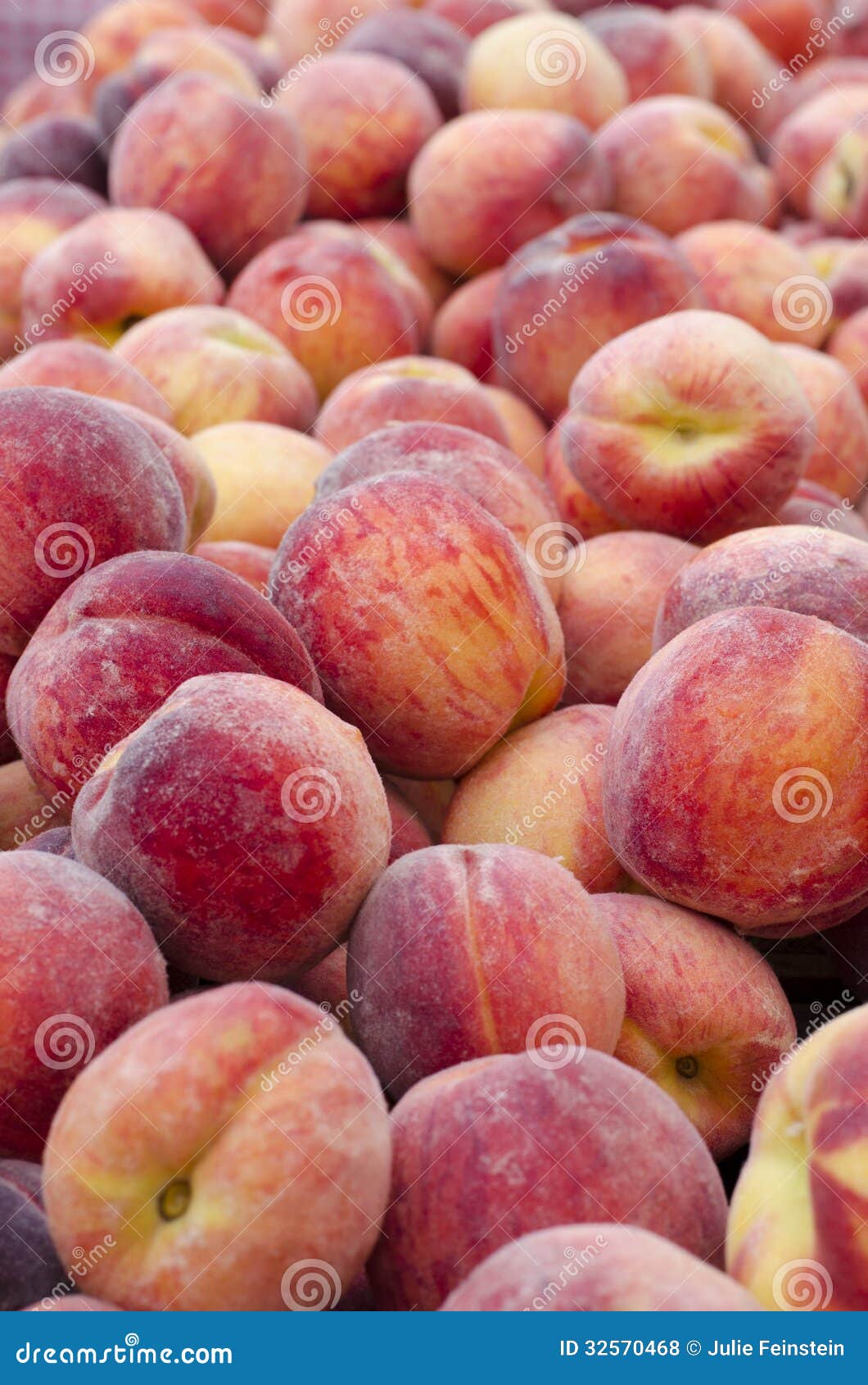 Peaches stock photo. Image of freestone, fresh, sweet 32570468
