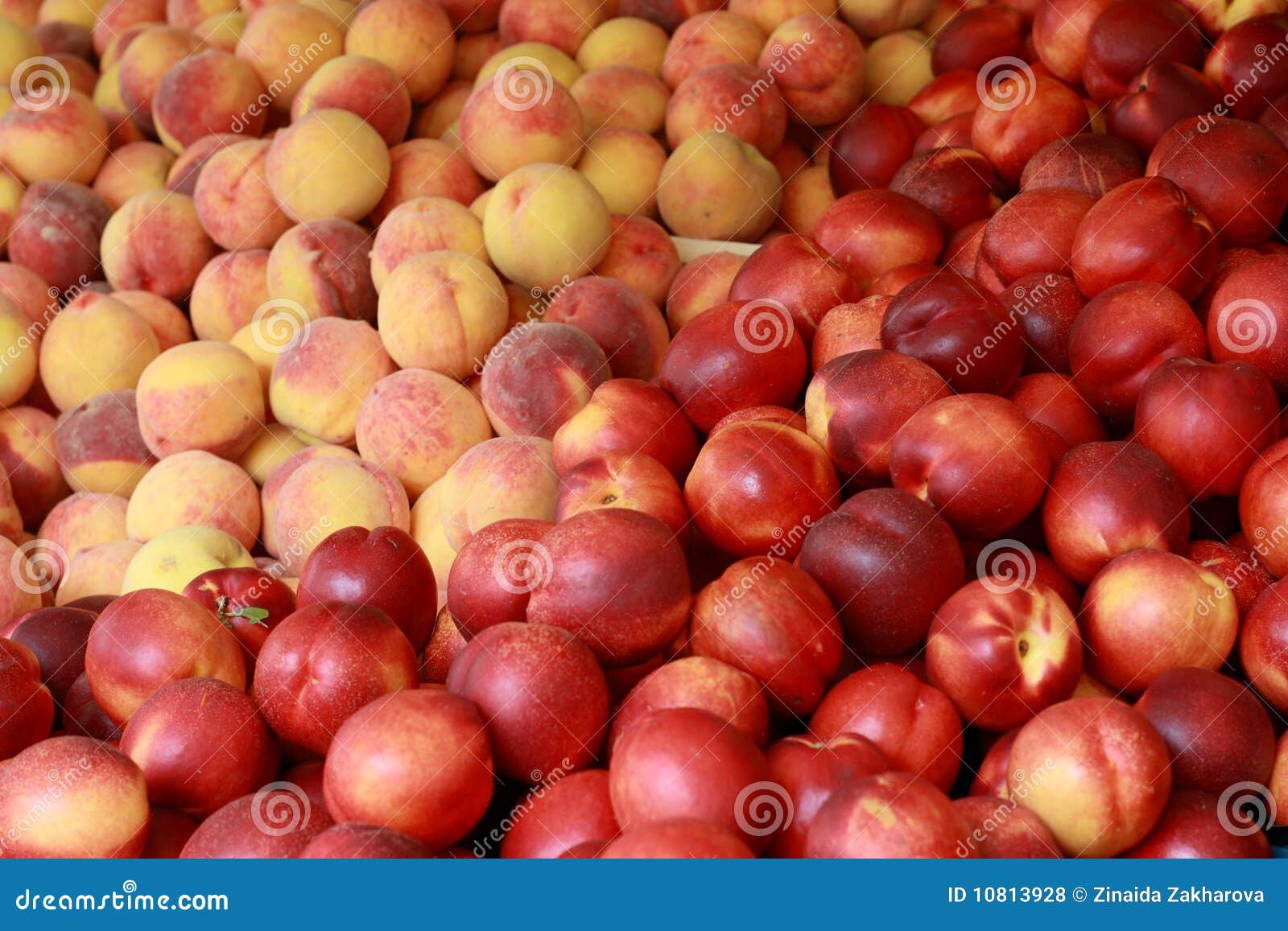 Peaches in market stock photo. Image of peachy, health 10813928