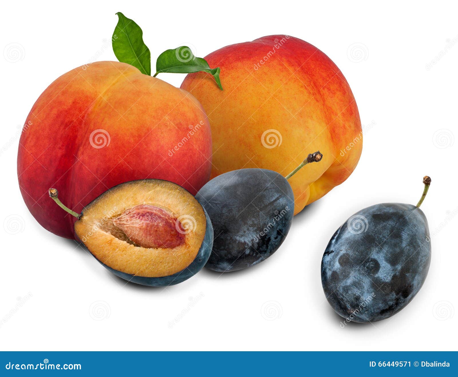 Peaches and plums stock image. Image of vegan, peach 66449571