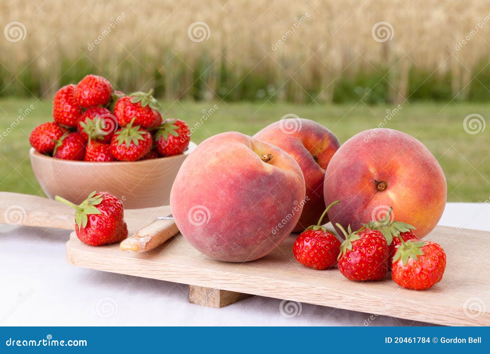 Peaches and Strawberries stock photo. Image of strawberry 20461784
