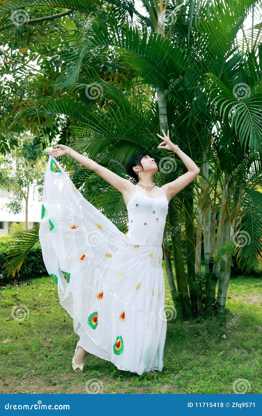 Peacock dance stock photo. Image of leisure, dance, face 11715418
