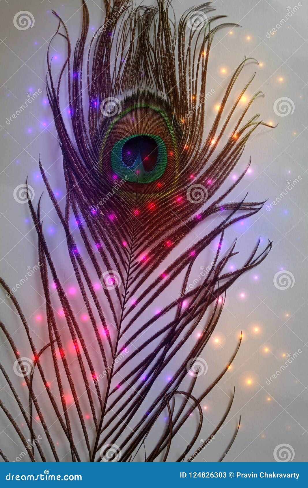 Female Hand Covered With Holographic Shining Glitter Holding Peacock Feather  Under Neon Colored Light Body Art Glamorous Conceptual Fashion Style  Stock Photo Picture And Royalty Free Image Image 181089580