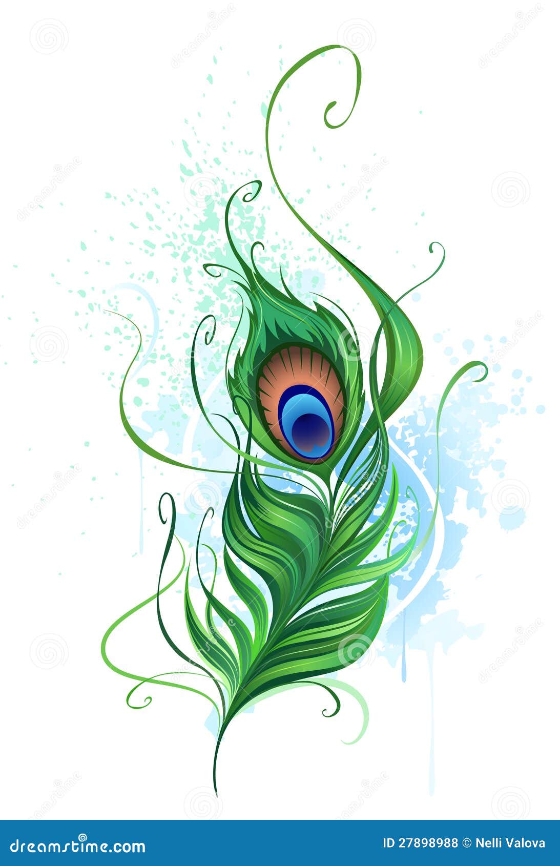 Peacock feather stock vector. Illustration of background - 27898988