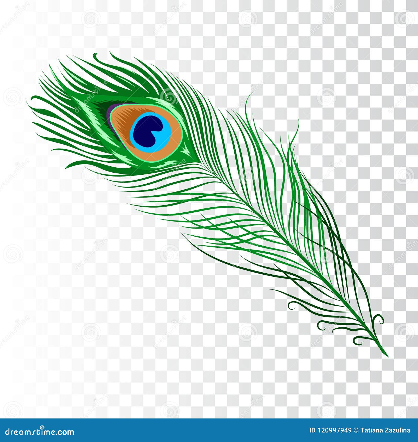 Peacock feather collection stock vector. Illustration of bright 120997949
