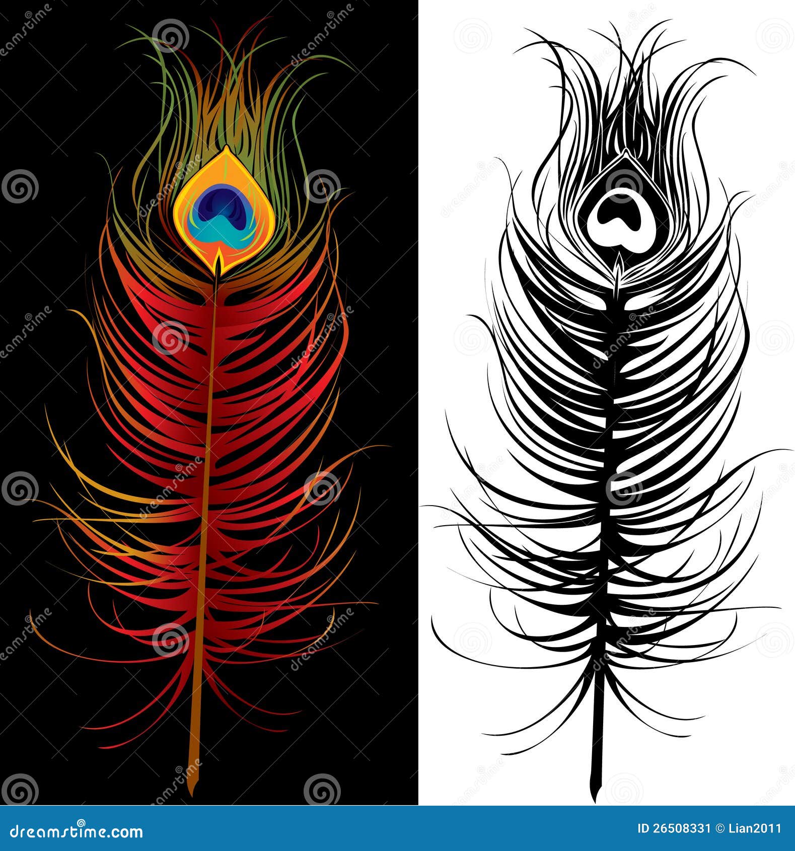 Feather Peacock Vector Isolated Transparent Image  Black Peacock Feather  Png  Free Transparent PNG Clipart Images Download