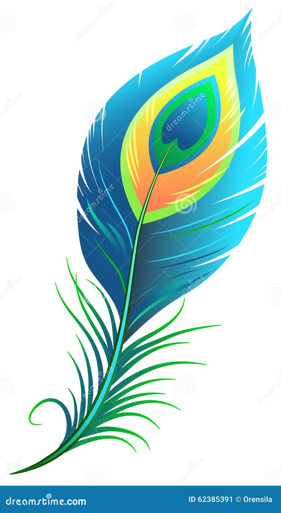 Peacock feather stock vector. Illustration of decoration - 62385391