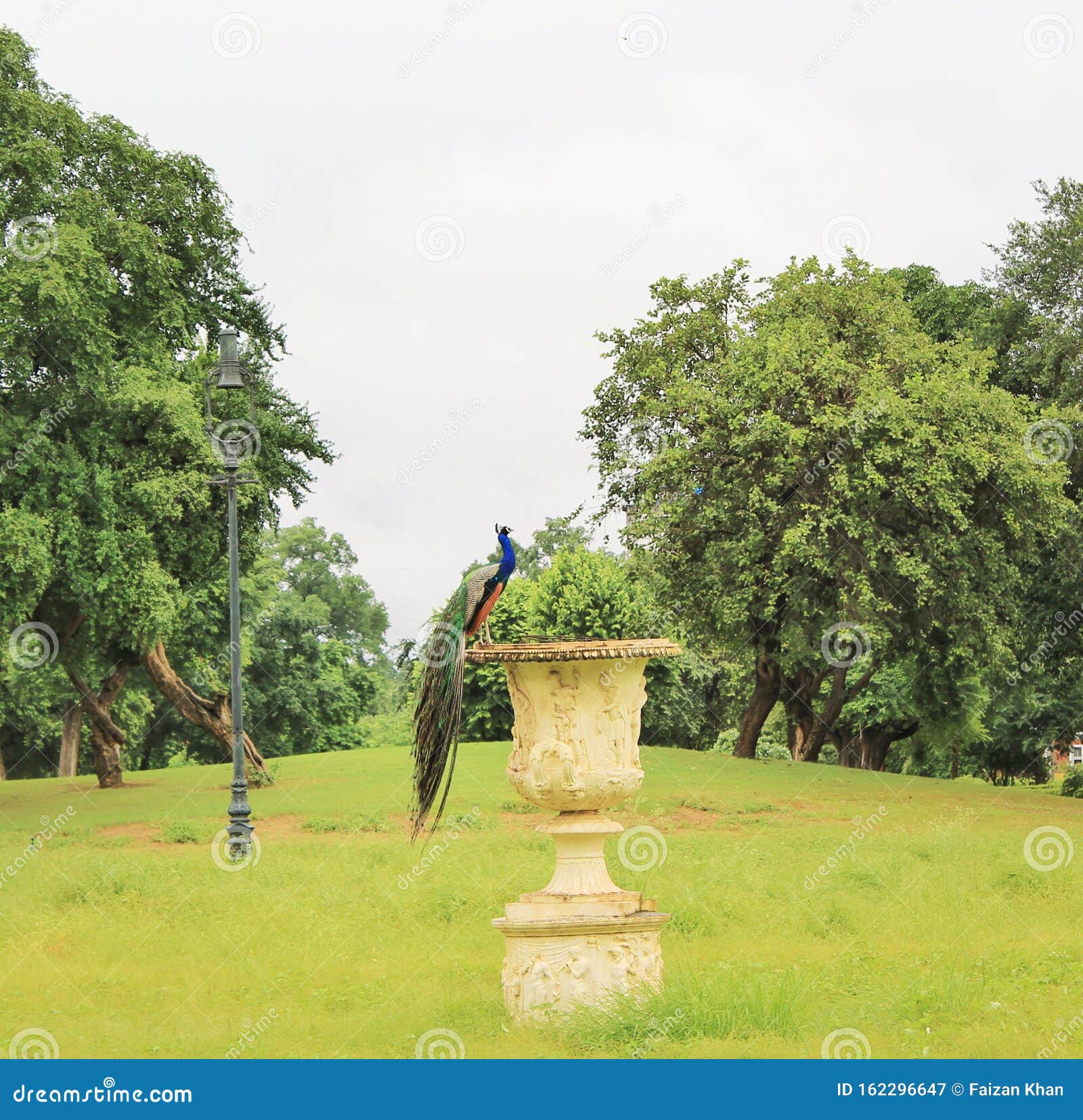 peacock on fountain at lakshmi vilas palace vadodara gujarat india