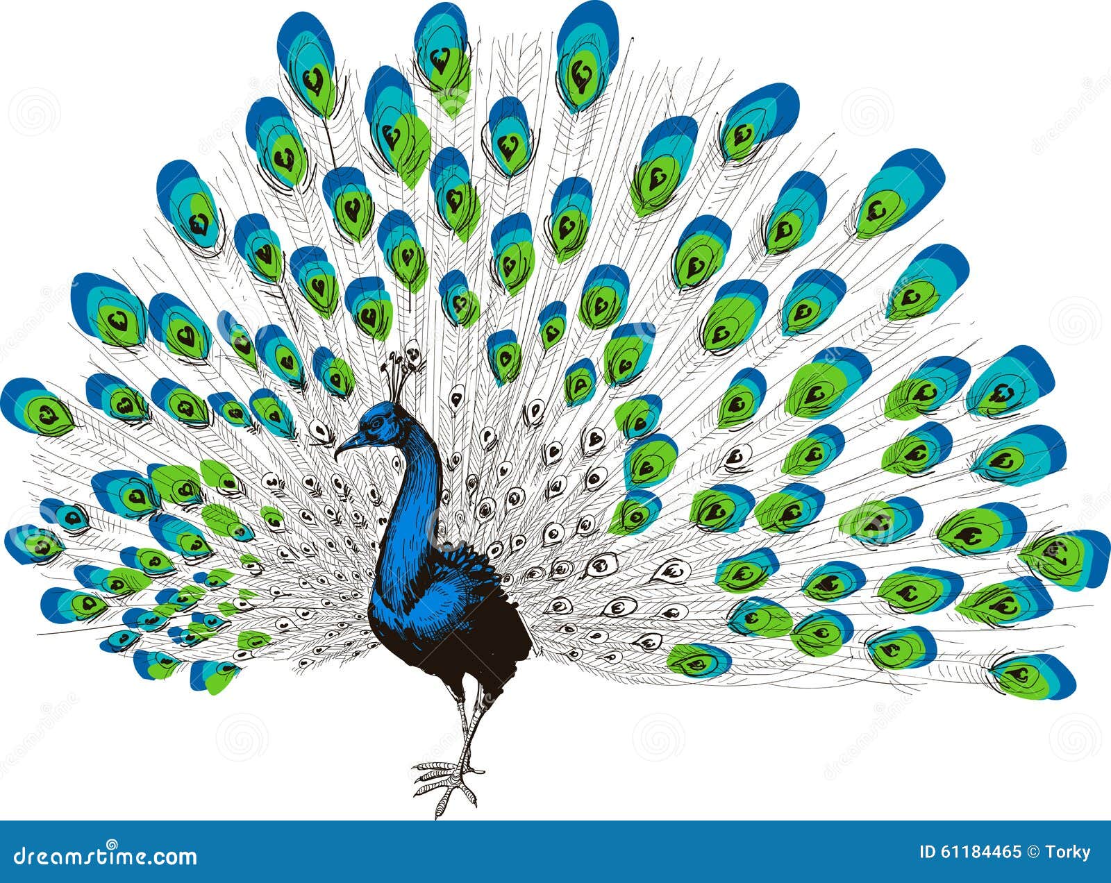 Aggregate more than 140 dancing peacock drawing best
