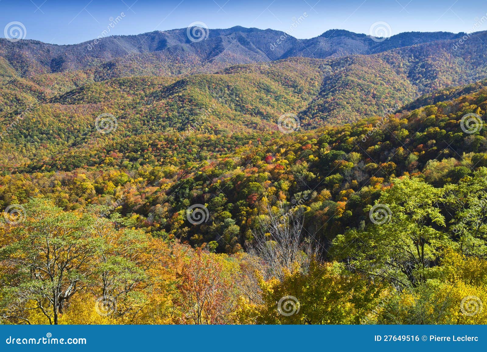 Peak Autumn Colors, Blue Ridge Parkway Stock Photo - Image of foliage