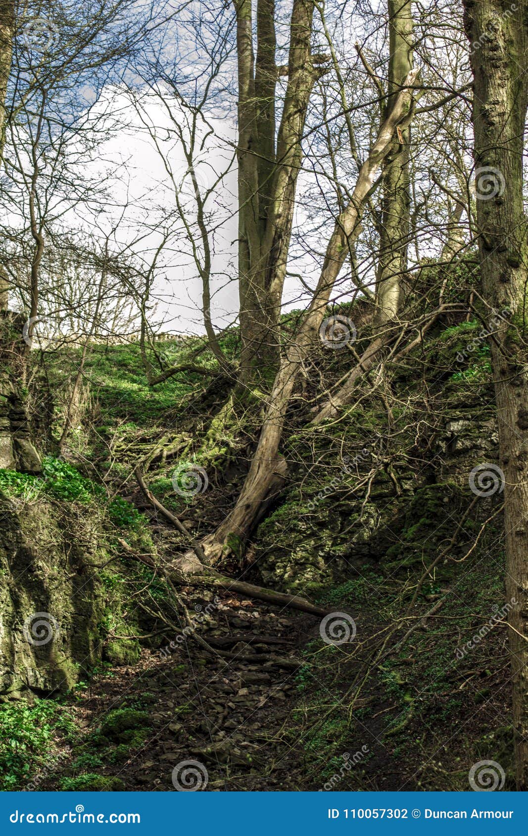 peak district valley winter trees