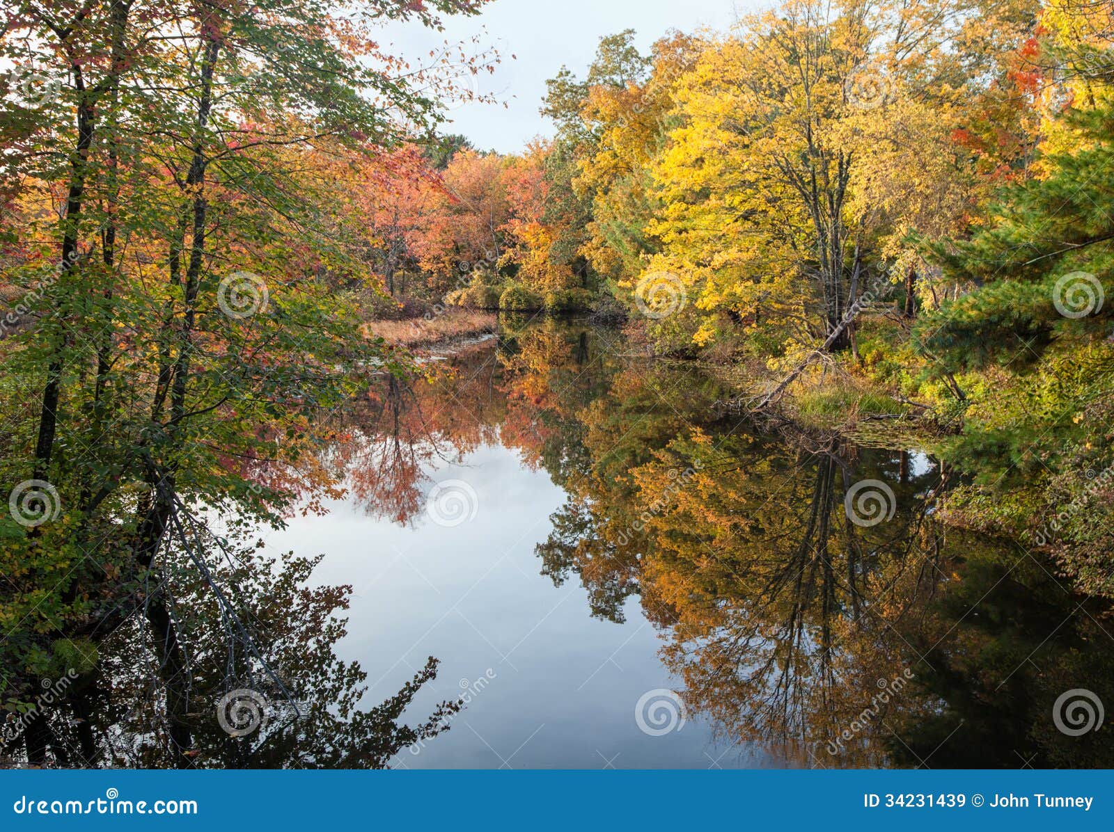 Peak Fall Foliage. Fall foliage reflected on calm pond water