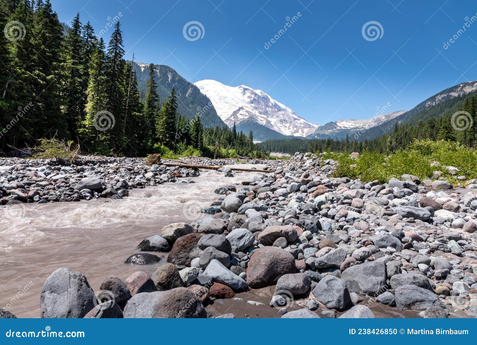 The Peak of Mount Rainier in the Mount Rainier National Park Behind the