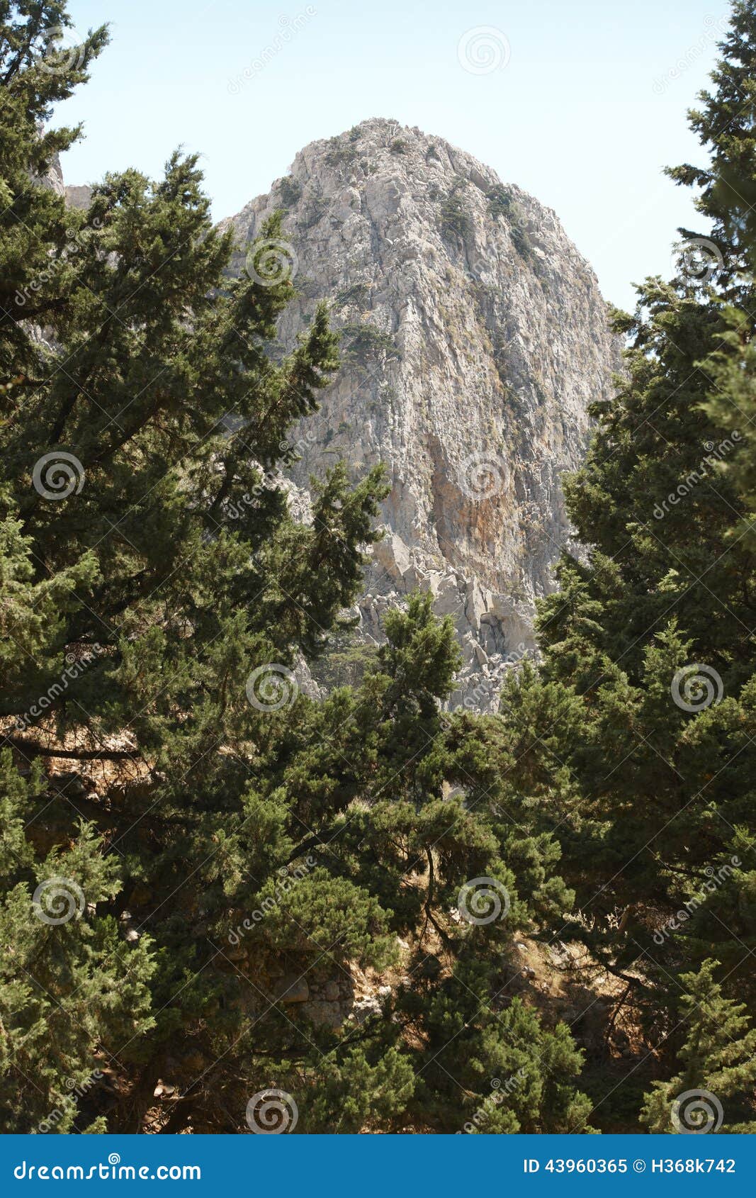peak and tree at imbros gorge. crete. greece