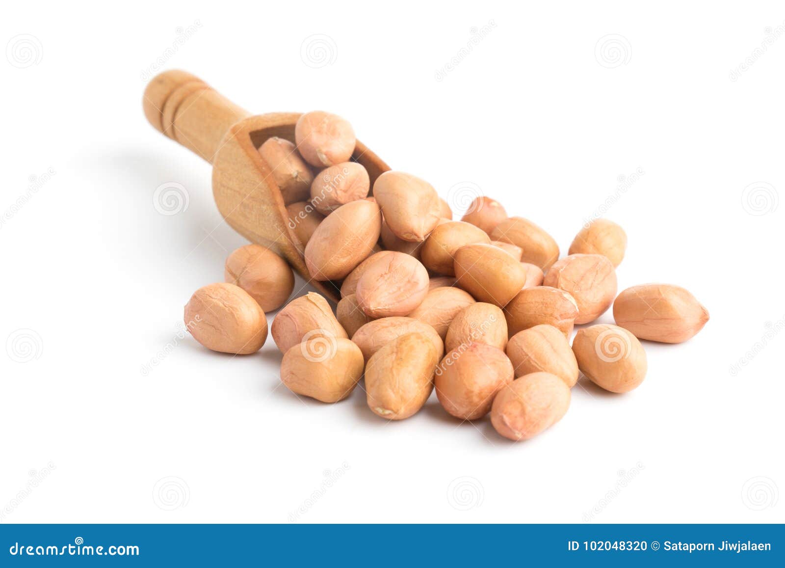 Peanut Bean On White Color Background And Clipping Path. RoyaltyFree