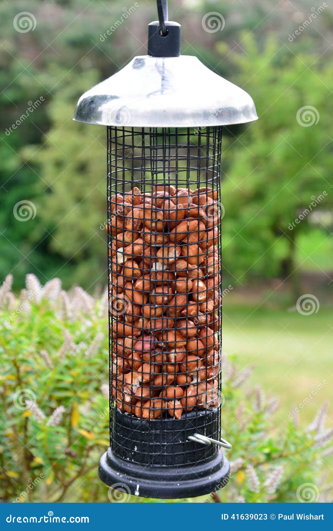 Peanut feeder in cage stock image. Image of bird, feed 41639023