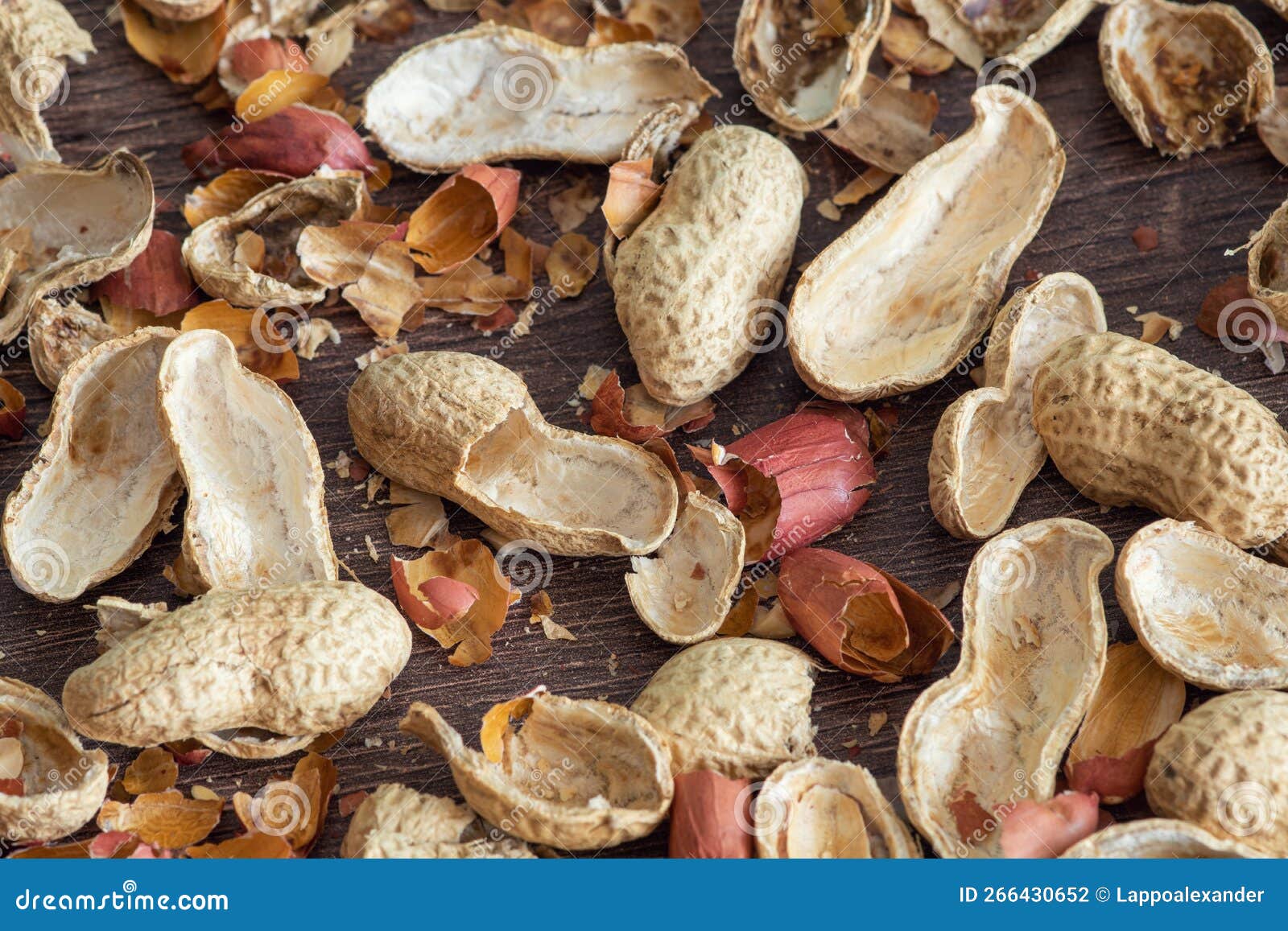 Peanut husks on the table stock photo. Image of seed 266430652